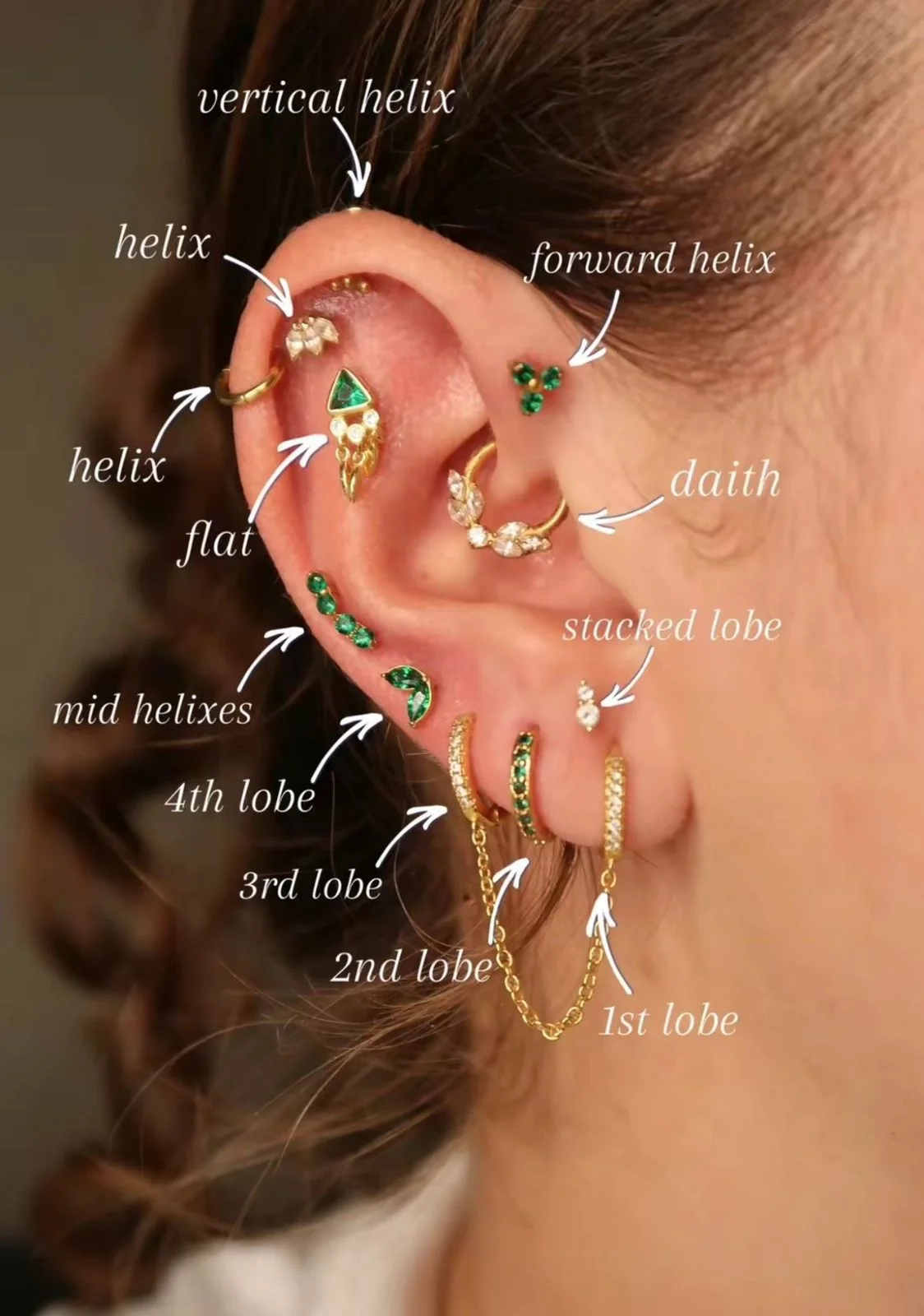 Ear Piercing Placements Map